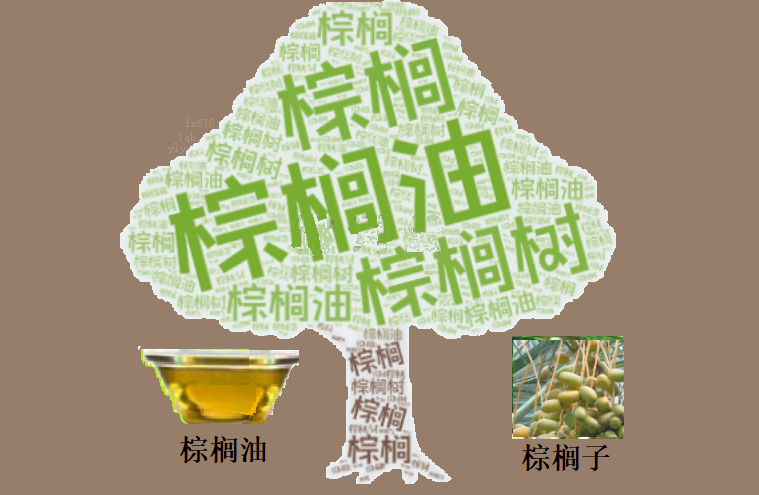 棕榈油价格显著回落，外部市场压力显现